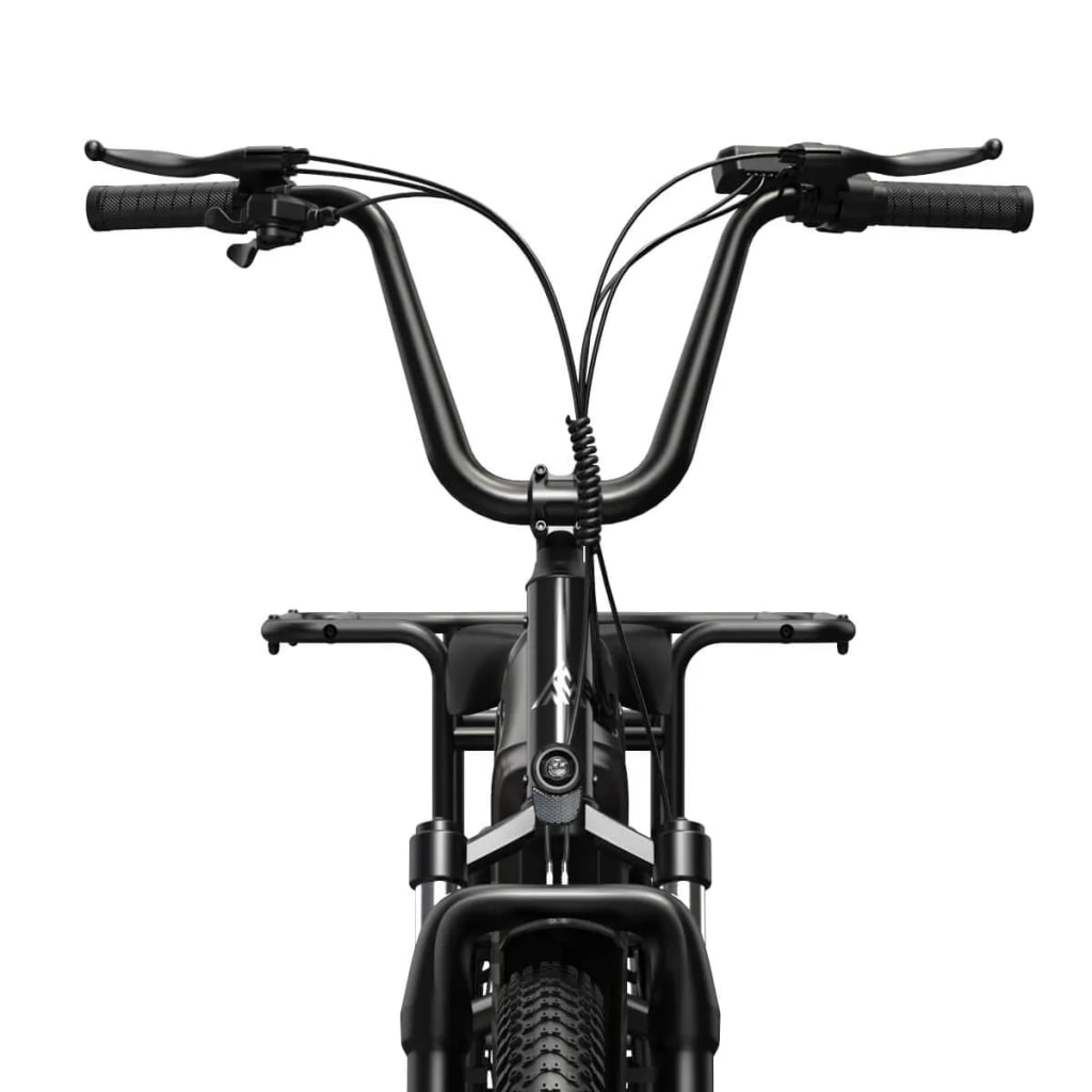 Carrier 20'' Cargo Electric Bike