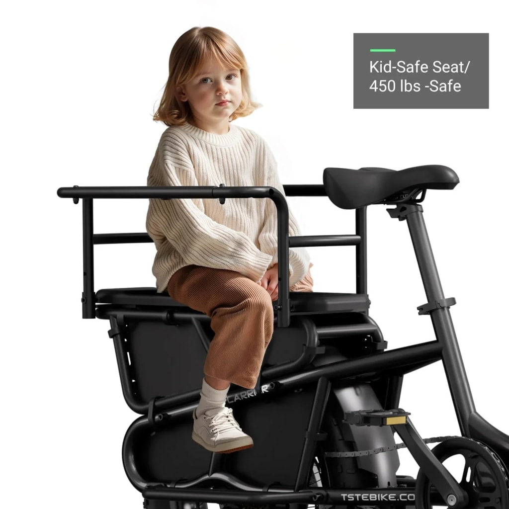 Carrier 20'' Cargo Electric Bike