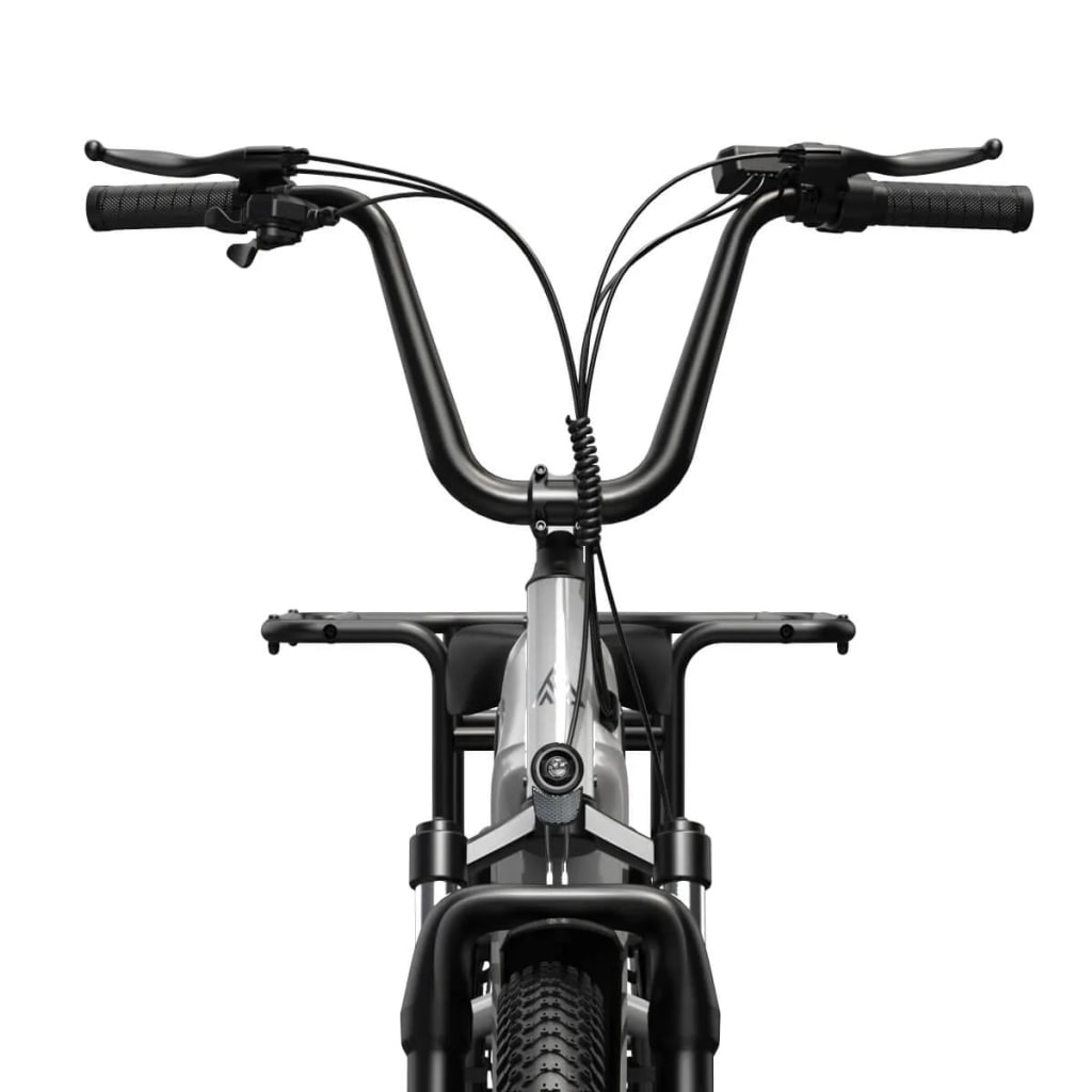 Carrier 20'' Cargo Electric Bike