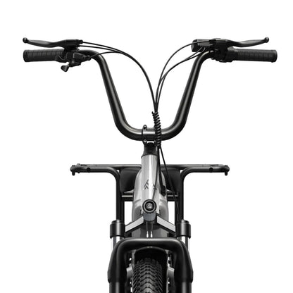 Carrier 20'' Cargo Electric Bike