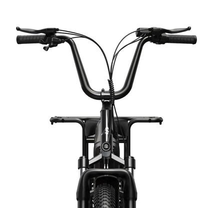 Carrier 20'' Cargo Electric Bike