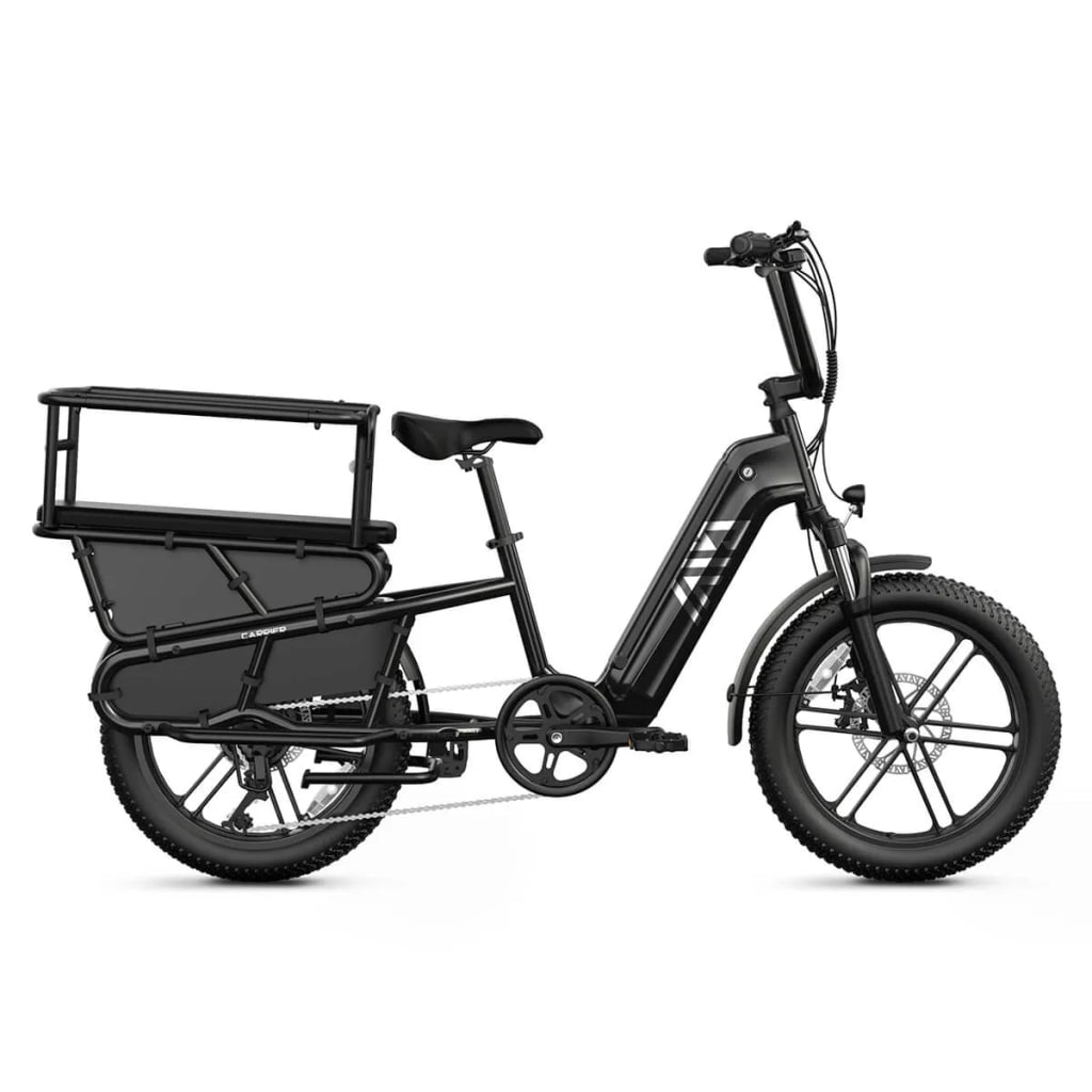 Carrier 20'' Cargo Electric Bike