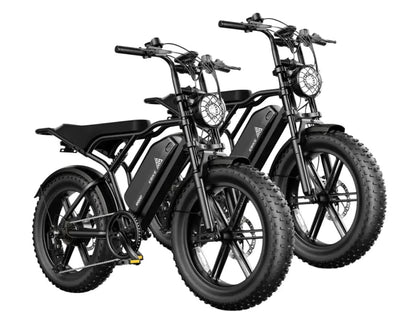 Carrier 20'' Cargo Electric Bike