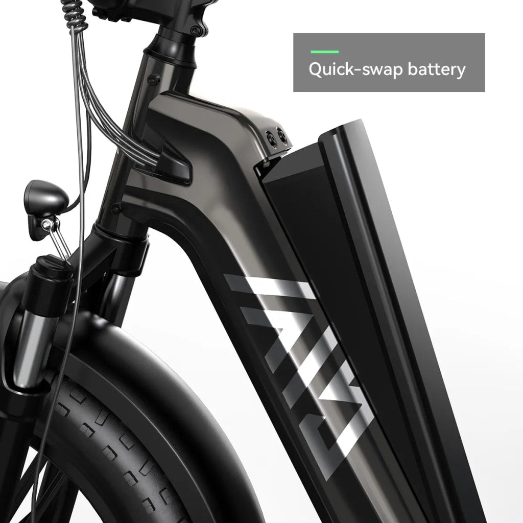 Carrier 20'' Cargo Electric Bike