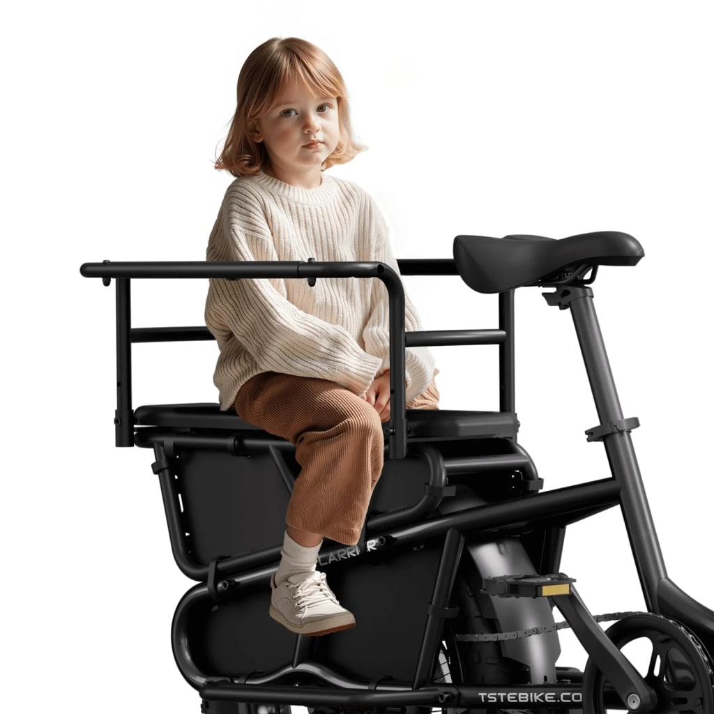 Carrier 20'' Cargo Electric Bike